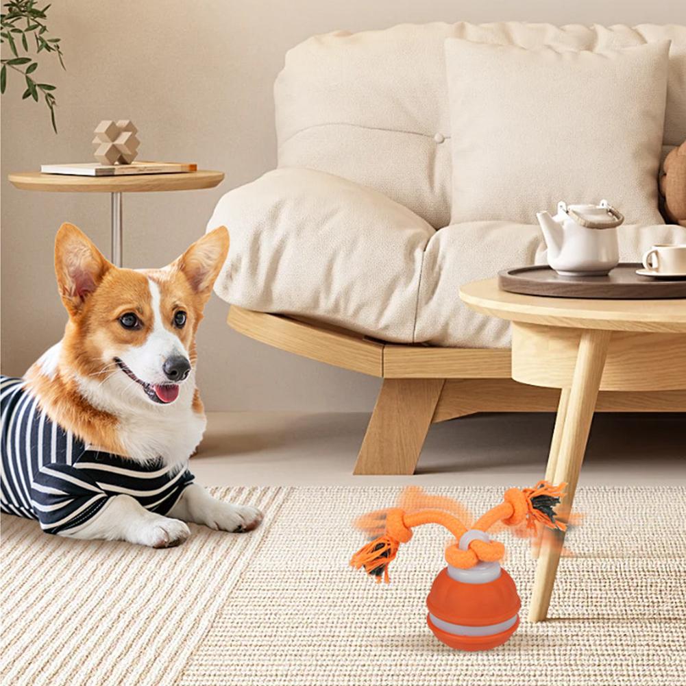 犬用ペットボール インタラクティブおもちゃ モーション起動ロ - Automatic Moving Dog Ball のレビューと価格