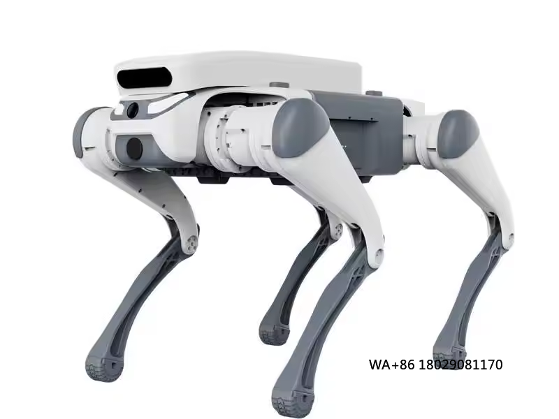 スタントリモコン教育玩具インテリジェントフィーダータッチセン - Dog Toys のレビューと価格