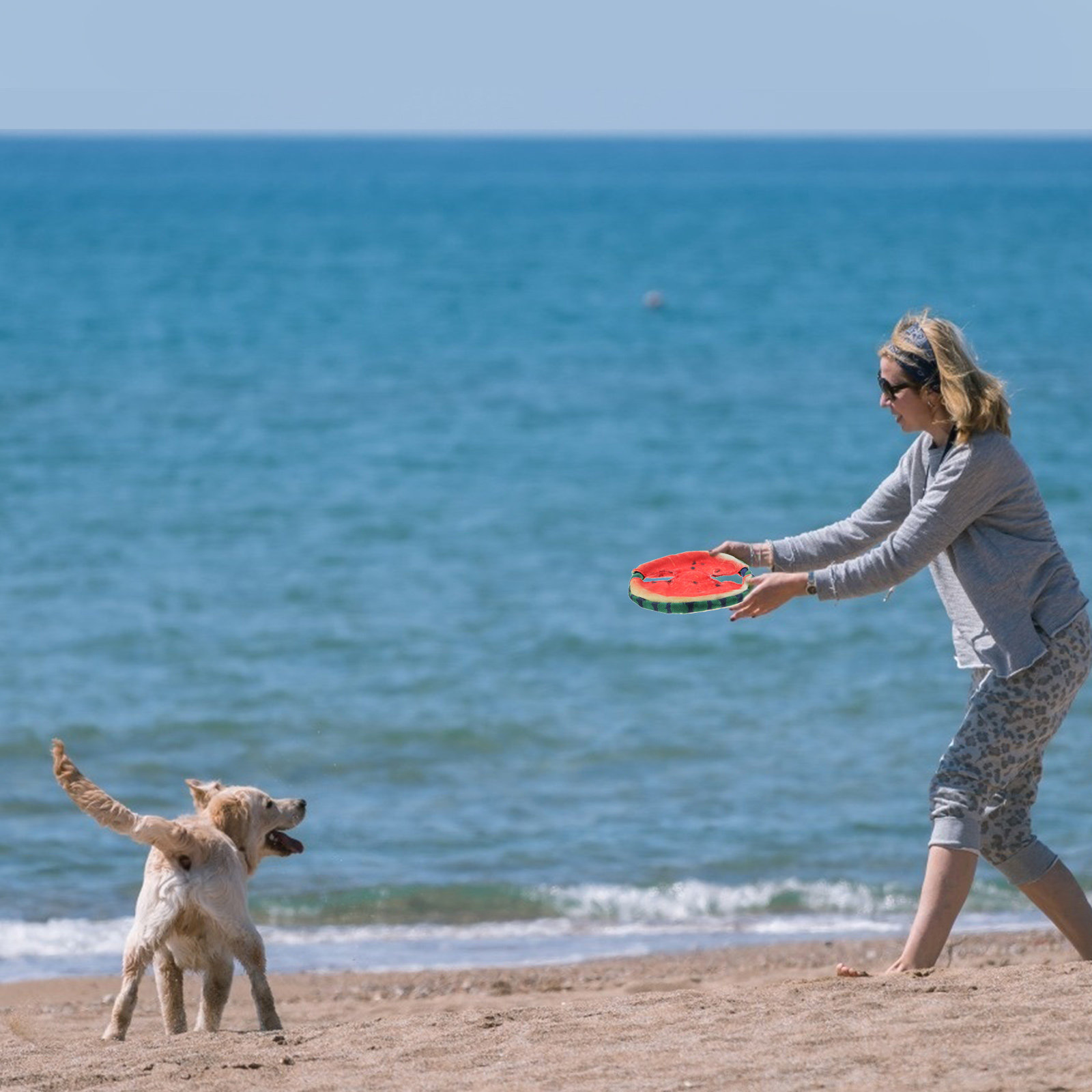 犬用フライングディスク、浮き輪型スイカデザイン、軽量ペット用 - Flying Disc Dog Training Toy のレビューと価格