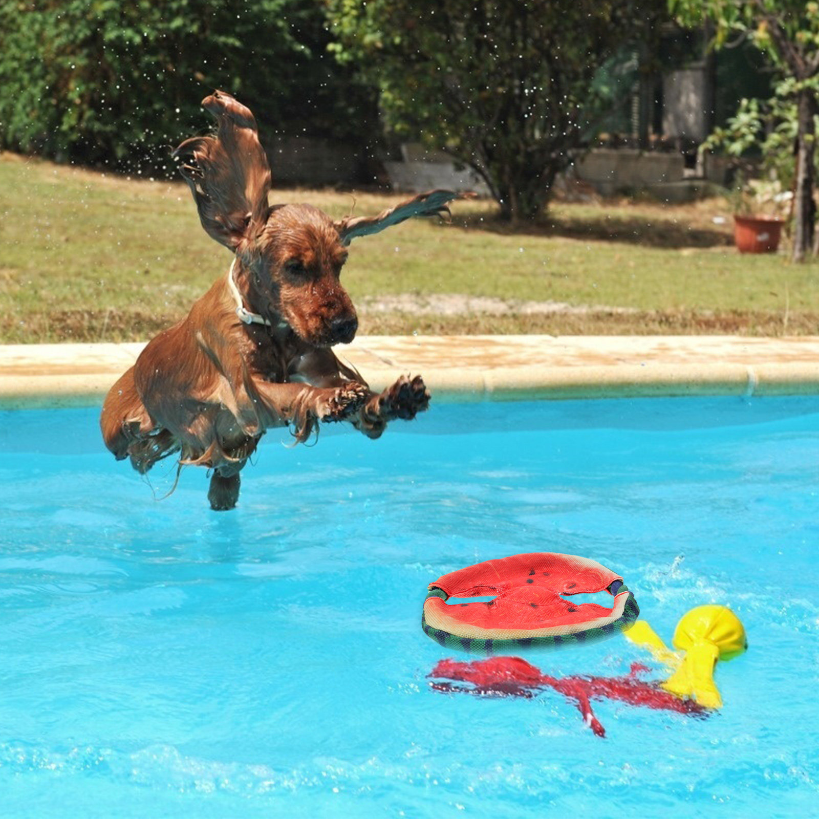 犬用フライングディスク、浮き輪型スイカデザイン、軽量ペット用 - Flying Disc Dog Training Toy のレビューと価格