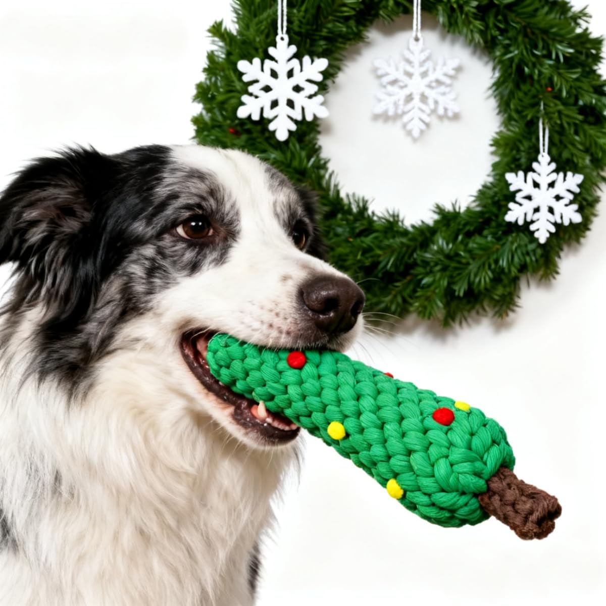 子犬の歯のケアに最適な、クリスマス柄のコットンロープ製犬用お - Teeth Cleaning Dog Chew Bone のレビューと価格
