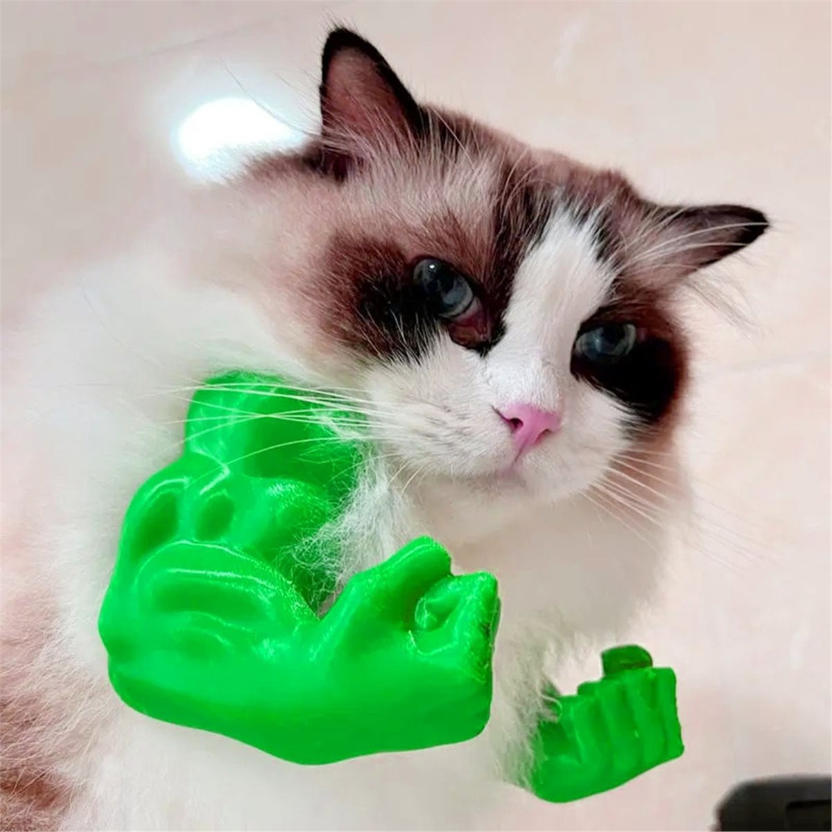 NEWCat 筋肉質な腕のペンダント、ペット用猫の拳型首飾り - Cat Toys のレビューと価格