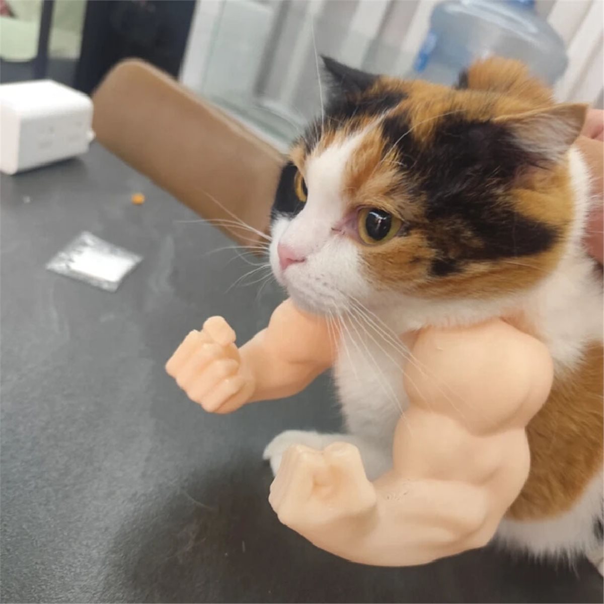NEWCat 筋肉質な腕のペンダント、ペット用猫の拳型首飾り - Cat Toys のレビューと価格